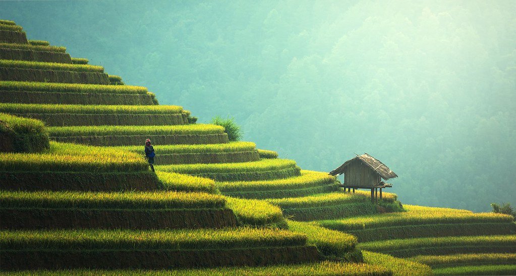 Rural Development